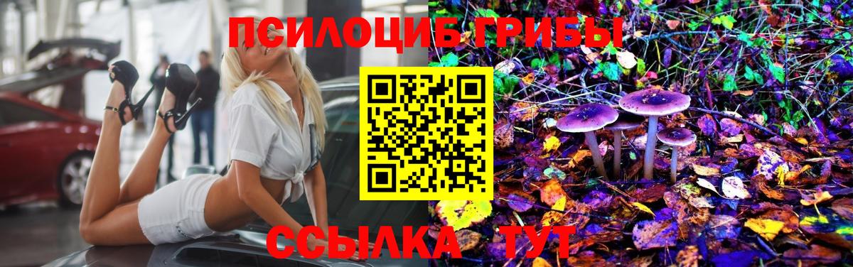 Псилоцибиновые грибы мухоморы Донской